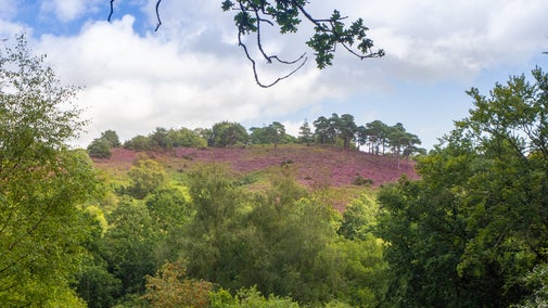 Enjoy views across the Devil's Punch Bowl valley